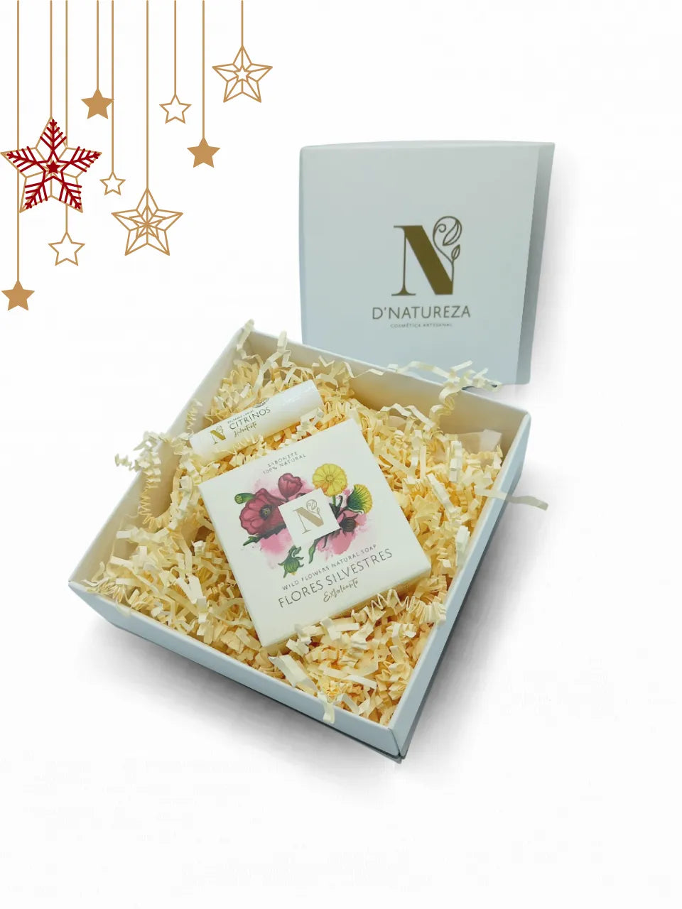 CONJUNTO PRESENTE 1 D'NATUREZA